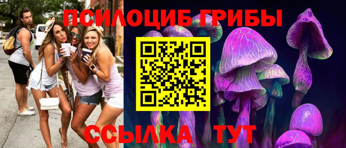 Муром  Галлюциногенные грибы мицелий  Вход с VPN 