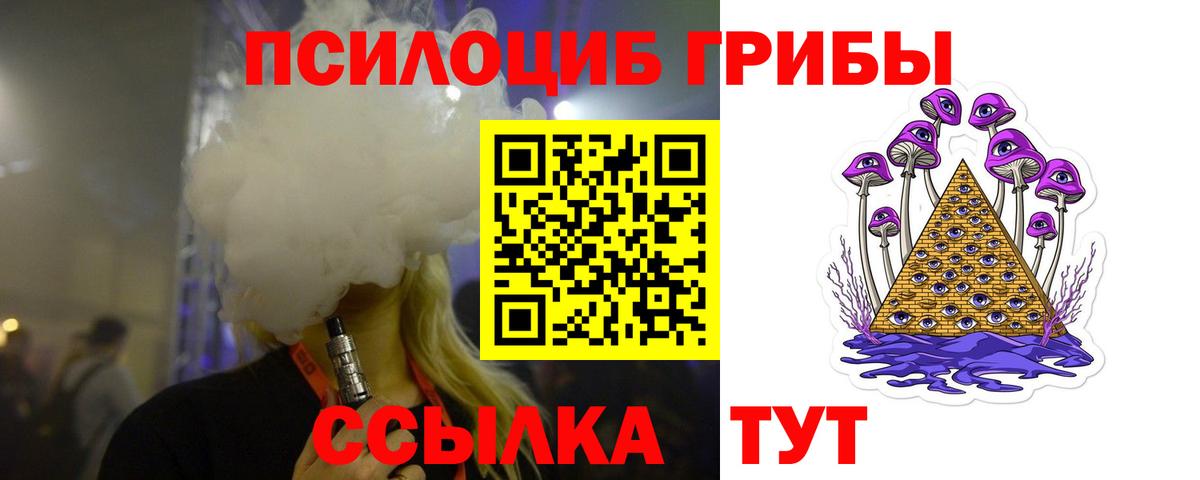 Псилоцибиновые грибы мицелий Муром